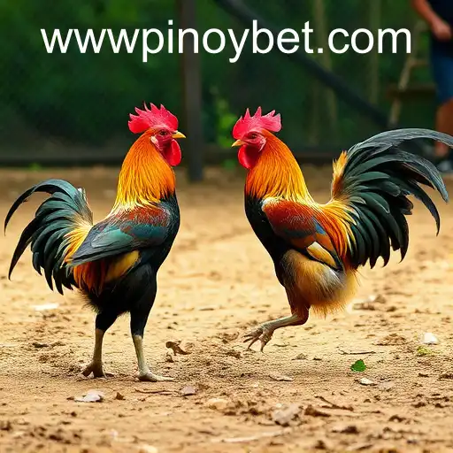 Exploring the World of Online Sabong: The Rise of PINOYBET PH Login